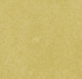 Forbo | Marmoleum